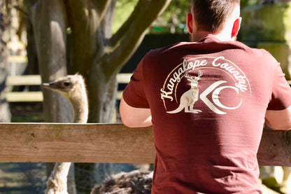 Short Sleeve Classic T-shirt (Chestnut Brown)