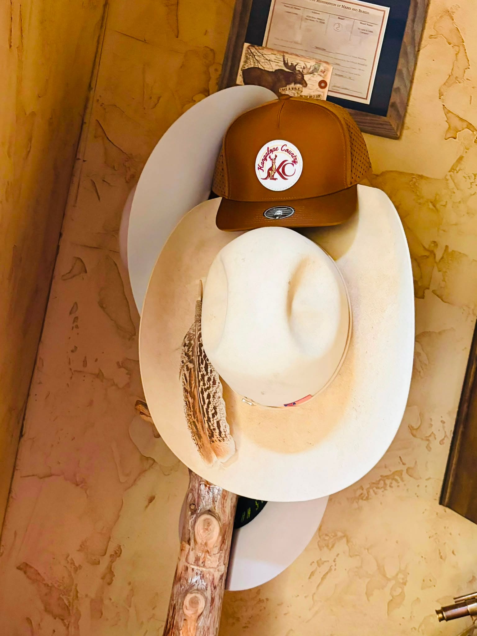 Caramel Country hat on a stand, studio view